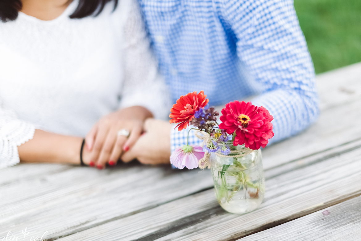 Debbie + Edwin | Starwars Engagement Session